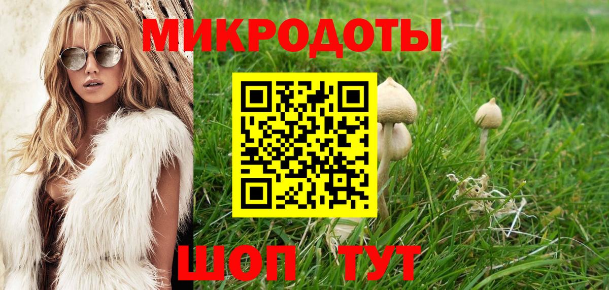 Галлюциногенные грибы GOLDEN TEACHER Дзержинский